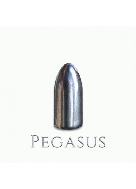 01 - Pegasus
