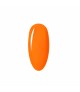 Juicy Orange Gum 210