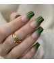 Pine Green - gost zelen barvni gel pasta za poslikave in Baby Boomer