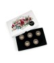 Arter Paint Art Gel - Maestro Box