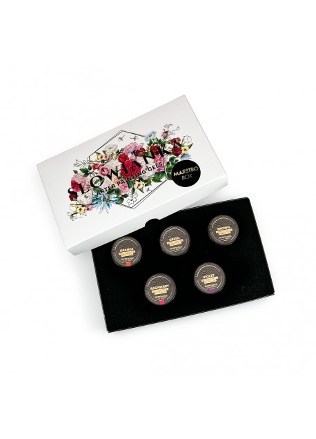 Arter Paint Art Gel - Maestro Box